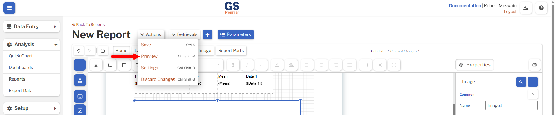 Report Preview Button Report Preview Button